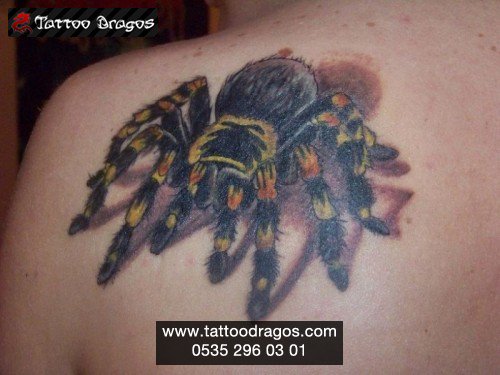 Tarantula Örümcek Tattoo