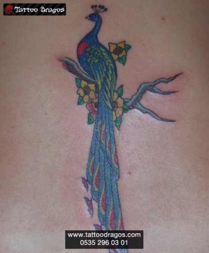 Tavus Kuşu Tattoo