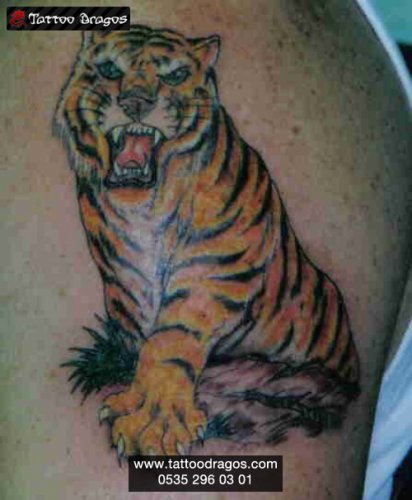 Tiger Tattoo