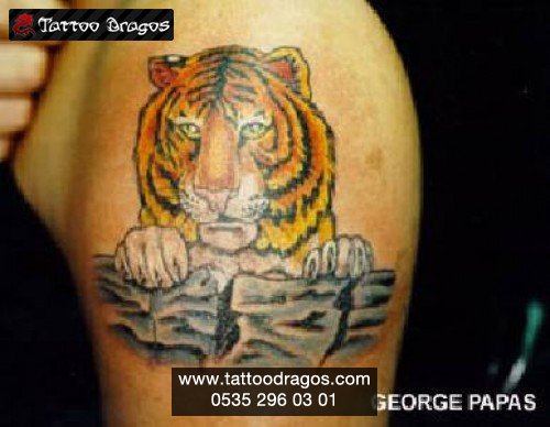 Tiger Tattoo