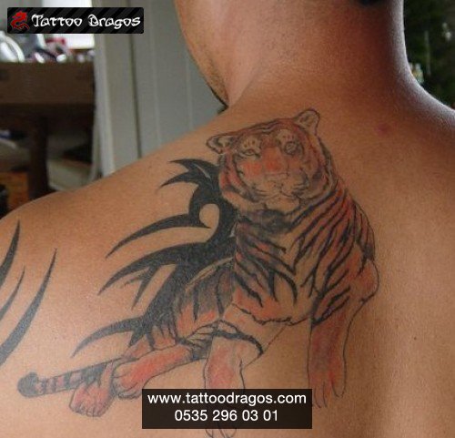 Tiger Tribal Tattoo