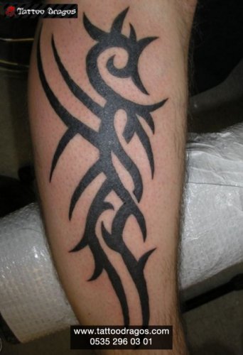 Tribal Tattoo