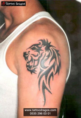 Tribal Aslan Tattoo