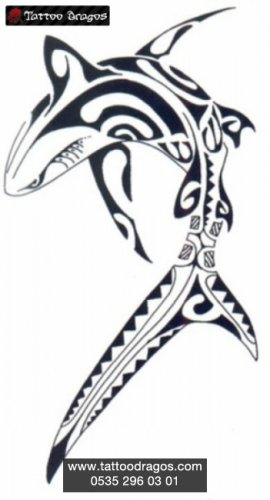 Tribal Celtic Köpekbalığı
