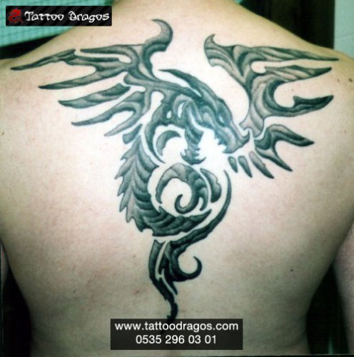 Tribal Dragon Tattoo