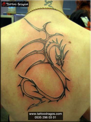 Tribal Dragon Tattoo