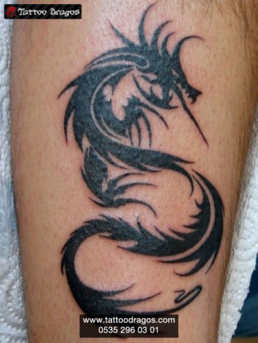 Tribal Dragon Ejderha Tattoo