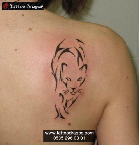 Tribal Kedi Tattoo