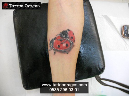 Uğur Böceği Çift Tattoo