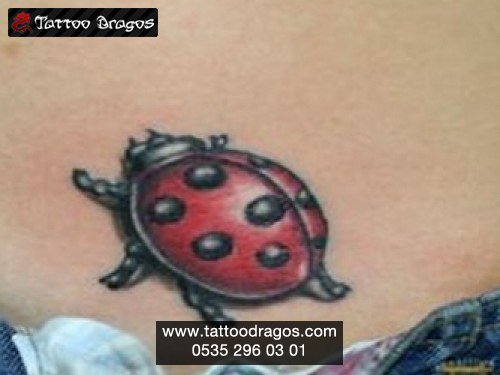 Uğurböceği Renkli Tattoo