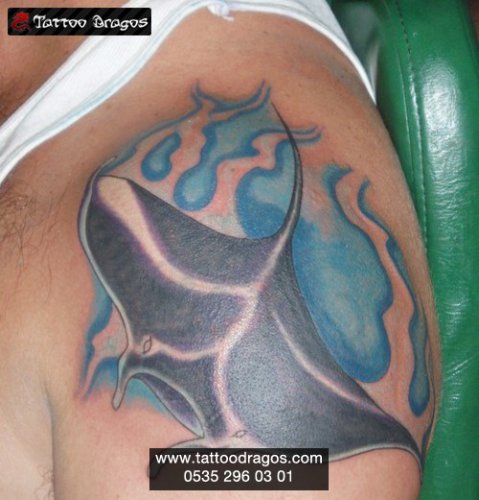 Vatos Manta Balık Tattoo