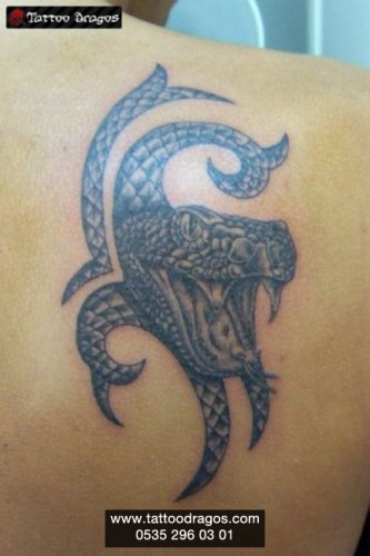 Yılan Tattoo