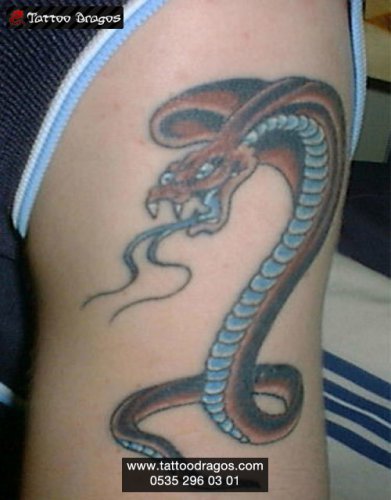 Yılan Tattoo