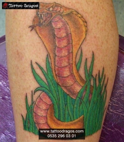 Yılan Kobra Tattoo