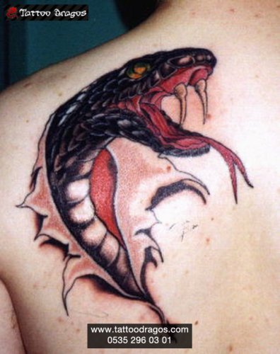 Yılan Yırtık Tattoo