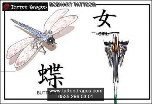 Yusufçuk Dragonfly