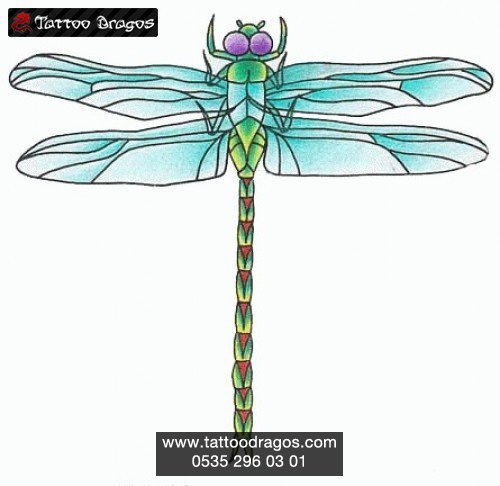 Yusufçuk Dragonfly