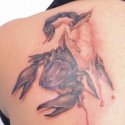 Akrep Tattoo