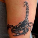Akrep Tattoo