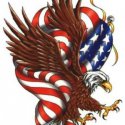 Amerikan Bayrak Kartal