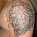 Aslan Tattoo