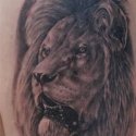 Aslan Tattoo