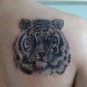 Aslan Tattoo