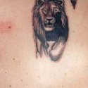 Aslan Tattoo