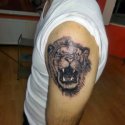 Aslan Tattoo