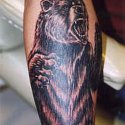 Ayı Tattoo