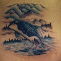 Balık Orka Balina Tattoo