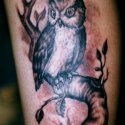 Baykuş Kuş Tattoo