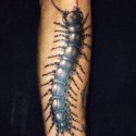 Böcek Kırkayak Tattoo