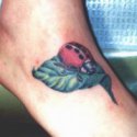 Böcek Uğurböceği Tattoo