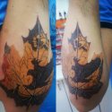 Çınar Yaprağı Kartal Tattoo