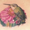 Çulluk Kuş Tattoo
