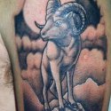 Dağ Keçisi Tattoo