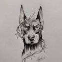 Doberman Köpek Dövme Modeli