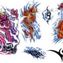 Dragon Japon Balık