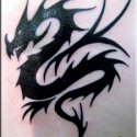 Dragon Tribal Tattoo