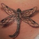 Dragonfly Yusufçuk Tattoo