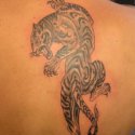 Gölgeli Kaplan Tattoo