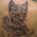 Gölgeli Yavru Kaplan Tattoo
