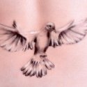 Güvercin Tattoo