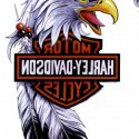 Harley Davidson Kartal
