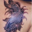 Japon Balığı Tattoo