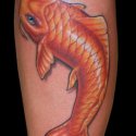 Japon Balığı Tattoo