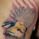 Kanarya Kuş Tattoo