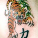 Kaplan Tattoo