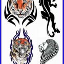 Kaplan Aslan Celtic